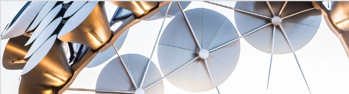 Roaming Surface Pavilion